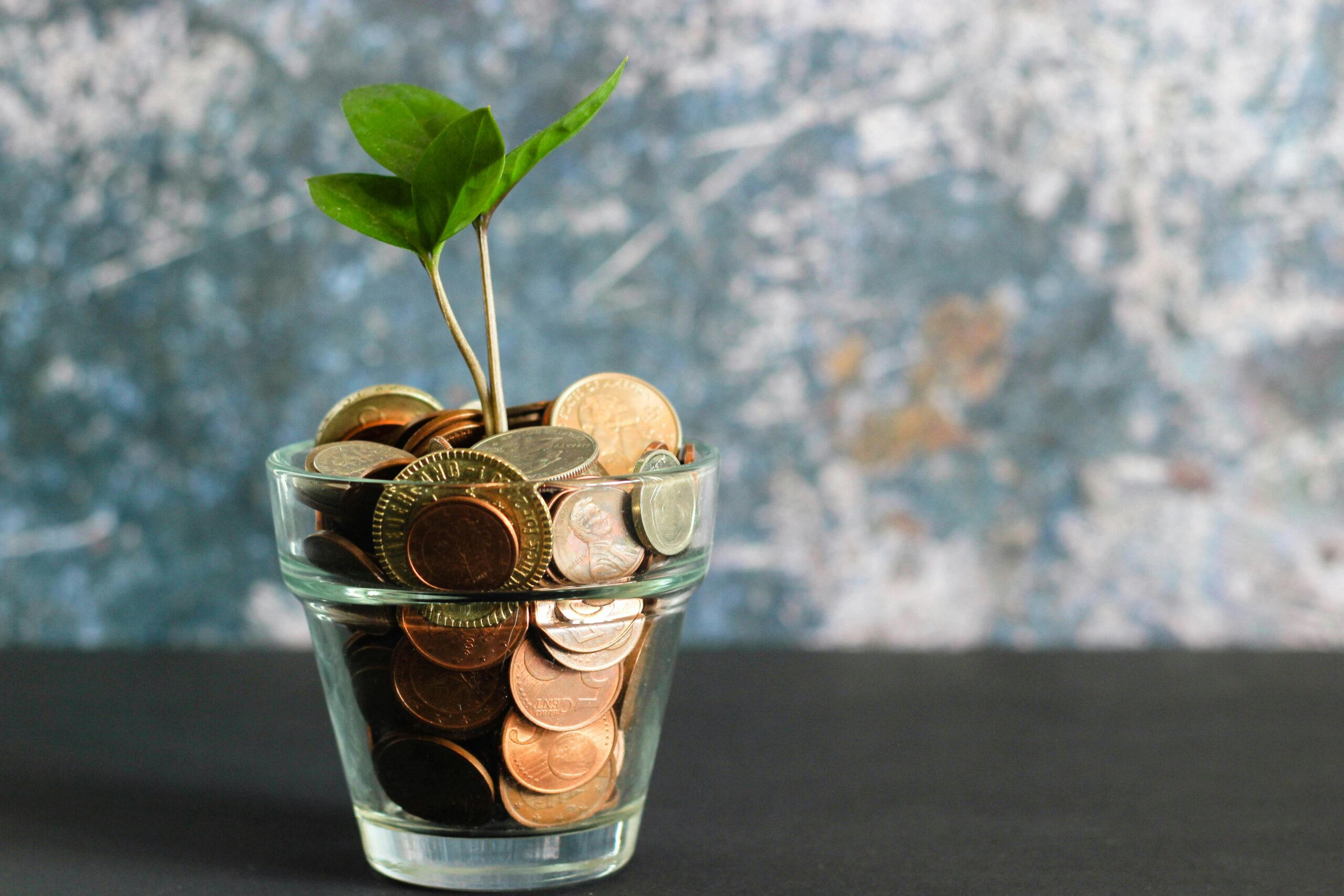 Financial Literacy, Planning and Budgeting for Families in the U.S. Virgin Islands