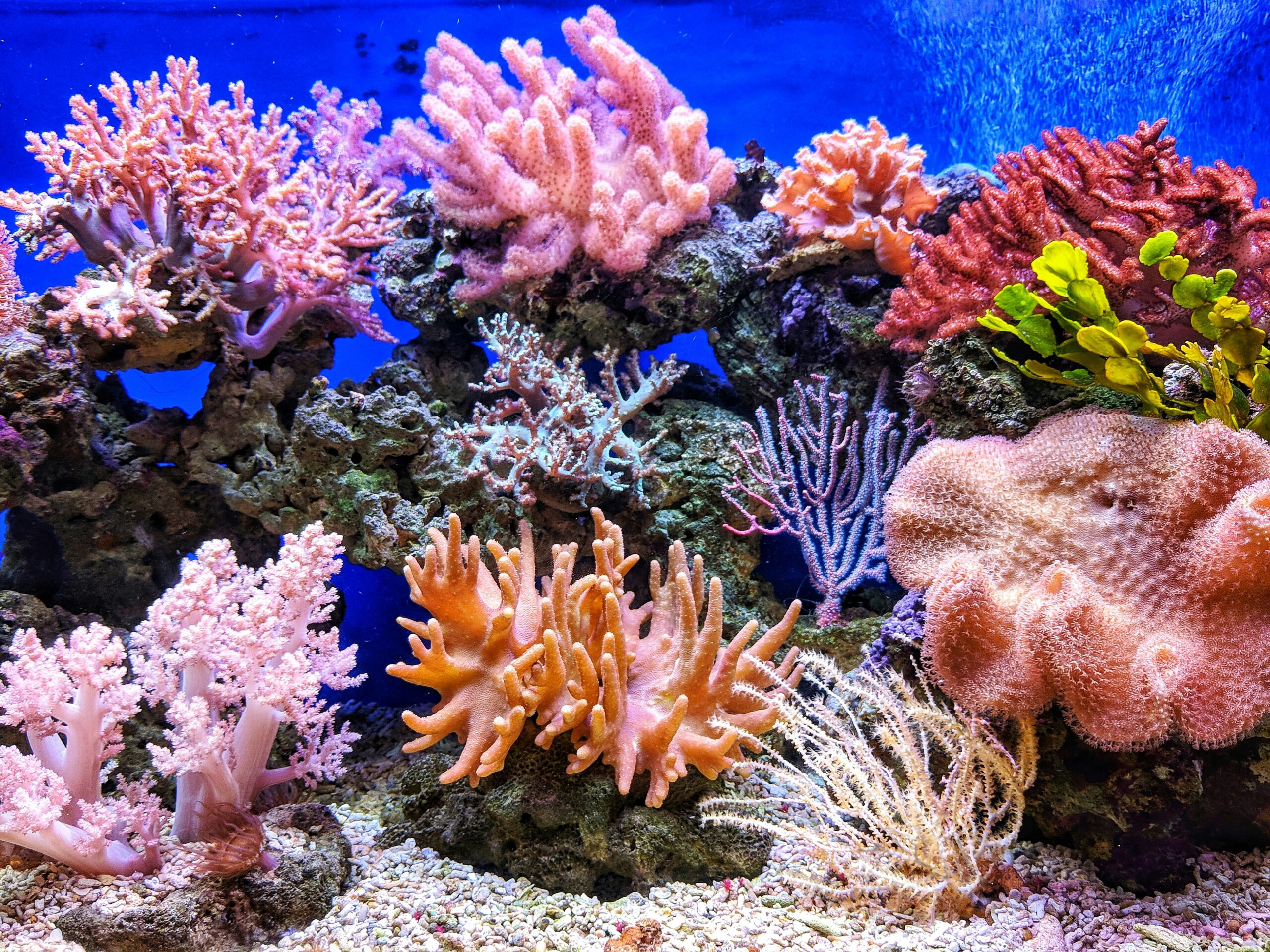 Eco Training: Nature, Sustainability, and Conservation Careers in the USVI